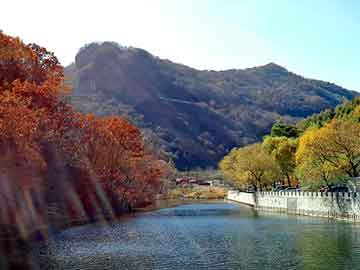 新澳天天开奖资料大全旅游团，梁山seo营销